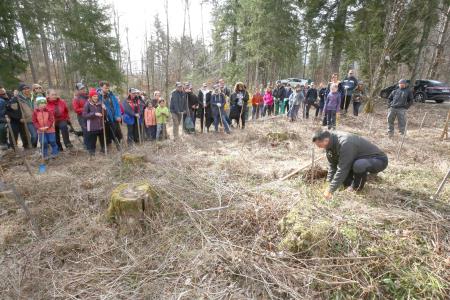 POGOZDOVANJE V RAKOVEM ŠKOCJANU 13 FOTO LJUBO VUKELIČ